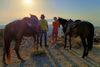 Kormos farm, Kakapetra, Paroikia, Paros Island